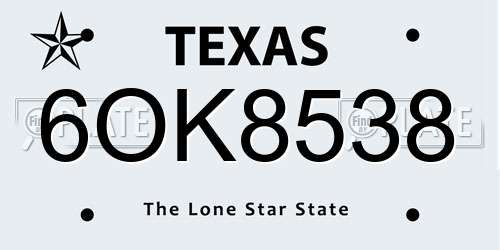 6OK8538 Texas License Plate