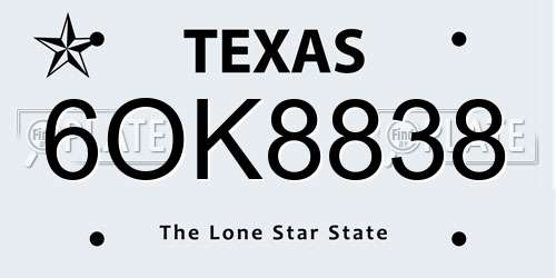 6OK8838 Texas License Plate