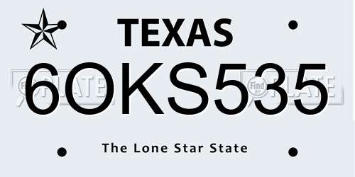 6OKS535 Texas License Plate