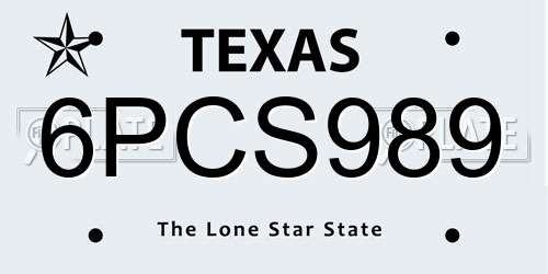 6PCS989 Texas License Plate