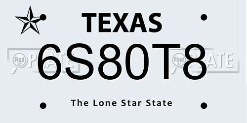 6S80T8 Texas License Plate