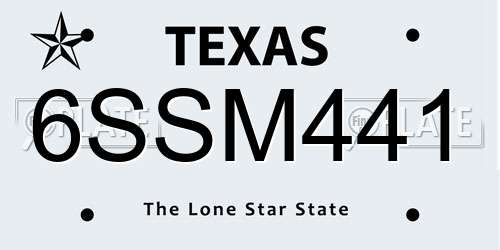 6SSM441 Texas License Plate