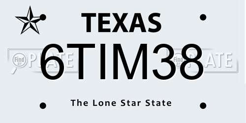 6TIM38 Texas License Plate