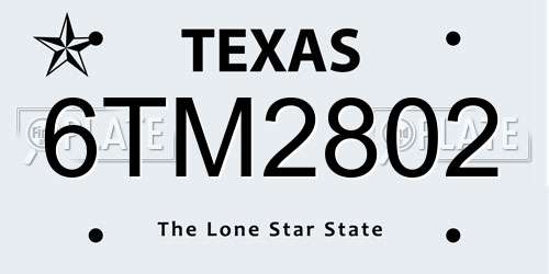 6TM2802 Texas License Plate