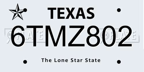 6TMZ802 Texas License Plate