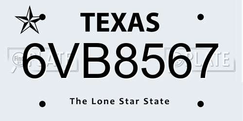 6VB8567 Texas License Plate