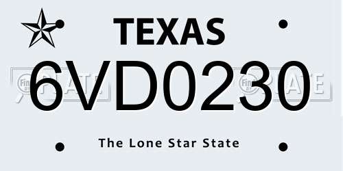 6VD0230 Texas License Plate