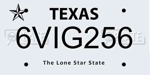 6VIG256 Texas License Plate