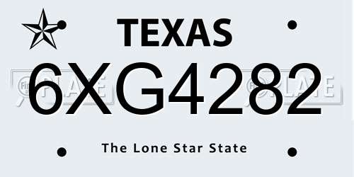 6XG4282 Texas License Plate