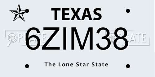 6ZIM38 Texas License Plate