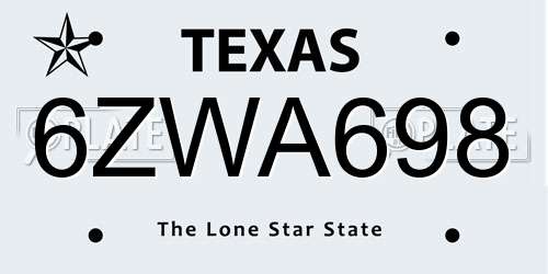 6ZWA698 Texas License Plate