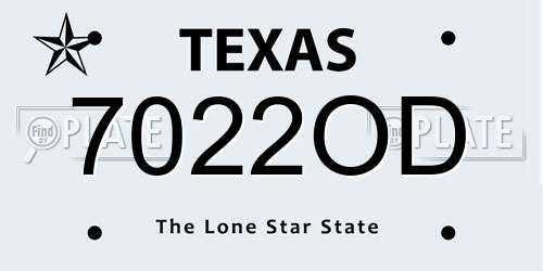 7022OD Texas License Plate