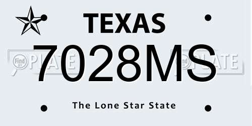 7028MS Texas License Plate