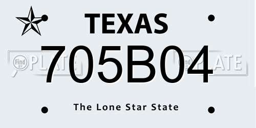 705B04 Texas License Plate