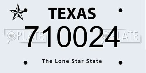 710024 Texas License Plate