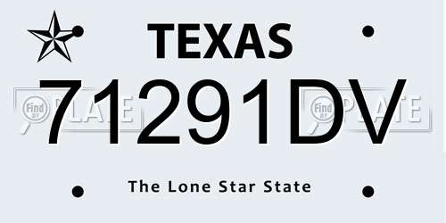 71291DV Texas License Plate
