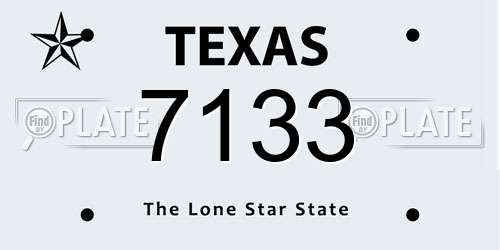 7133 Texas License Plate
