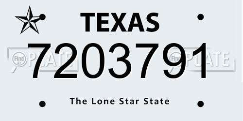 7203791 Texas License Plate