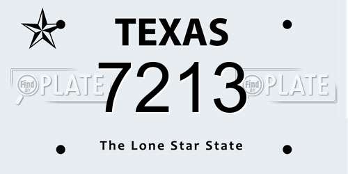 7213 Texas License Plate