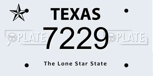 7229 Texas License Plate