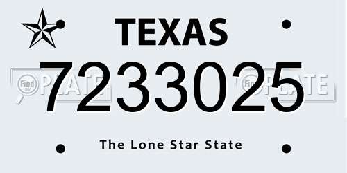 7233025 Texas License Plate