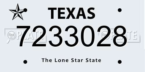 7233028 Texas License Plate