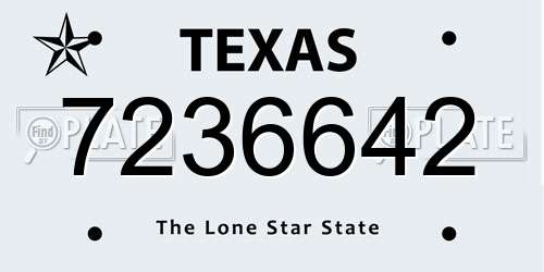 7236642 Texas License Plate
