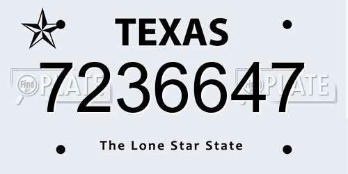 7236647 Texas License Plate