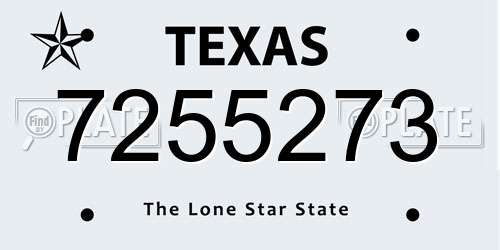 7255273 Texas License Plate