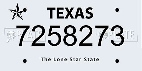 7258273 Texas License Plate