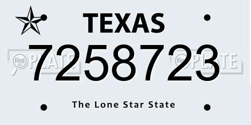 7258723 Texas License Plate