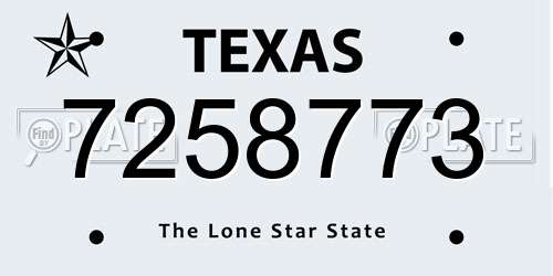 7258773 Texas License Plate