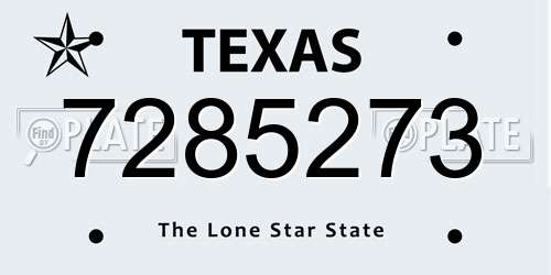 7285273 Texas License Plate