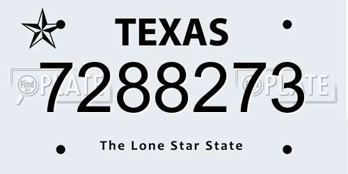 7288273 Texas License Plate