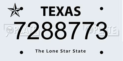7288773 Texas License Plate