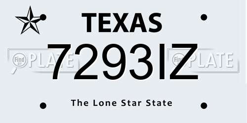 7293IZ Texas License Plate