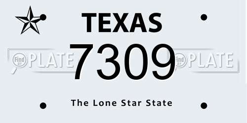7309 Texas License Plate