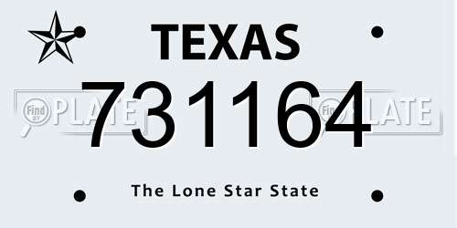 731164 Texas License Plate