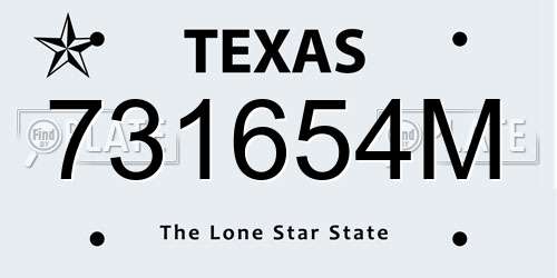 731654M Texas License Plate
