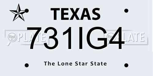 731IG4 Texas License Plate