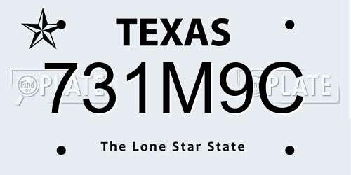 731M9C Texas License Plate