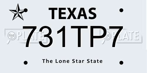 731TP7 Texas License Plate