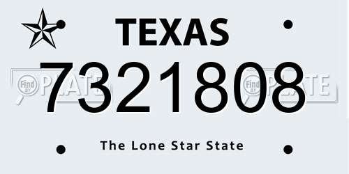 7321808 Texas License Plate