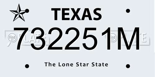 732251M Texas License Plate