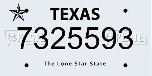 7325593 Texas License Plate