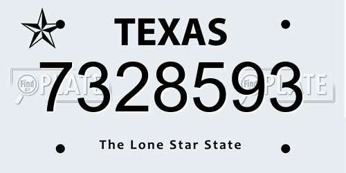 7328593 Texas License Plate
