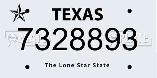 7328893 Texas License Plate