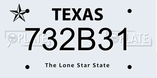 732B31 Texas License Plate