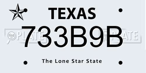 733B9B Texas License Plate
