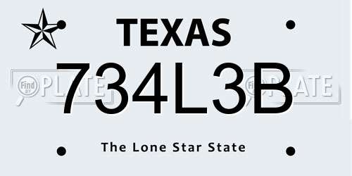 734L3B Texas License Plate